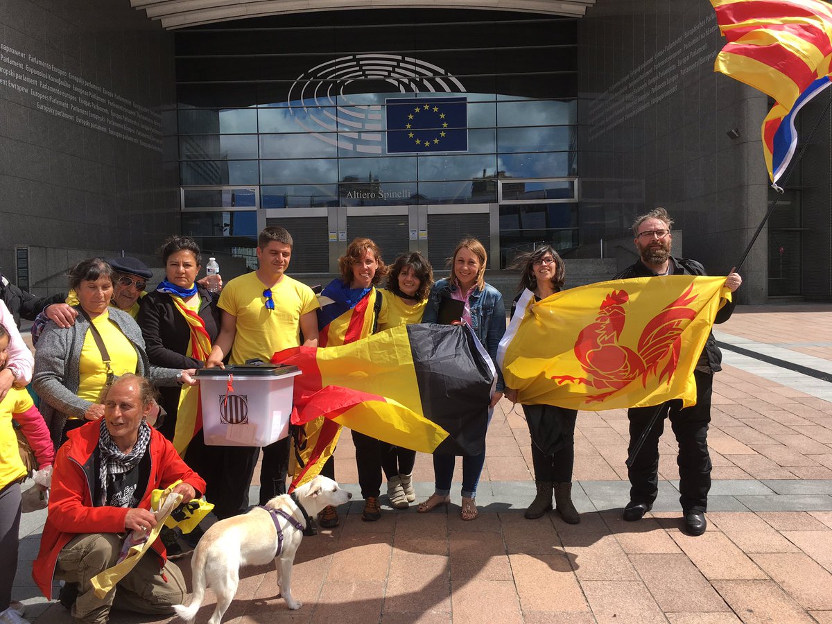 WalloCat's tweet photo. Aujourd’hui, Wallonie et Flandre main dans la main pour la Catalogne. Merci à toute l’équipe du #CamiAlaRepublica pour cette belle rencontre. https://t.co/Bq29QKi9S7