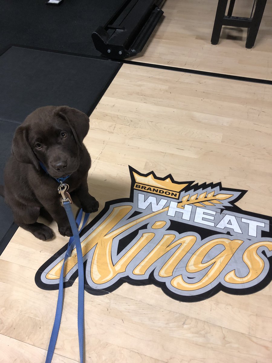 Branden Crowe tweet media