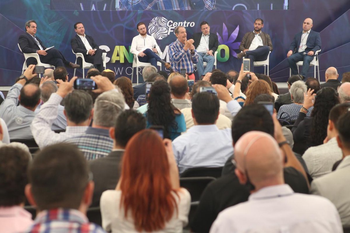 Interlocución por parte de actores visionarios debe fomentarse para pacificar y armonizar el país. Hoy, hoy, hoy 👇🏻 tenemos que crear una asociación nacional para el consumo del #cannabis.

#CannaMexico