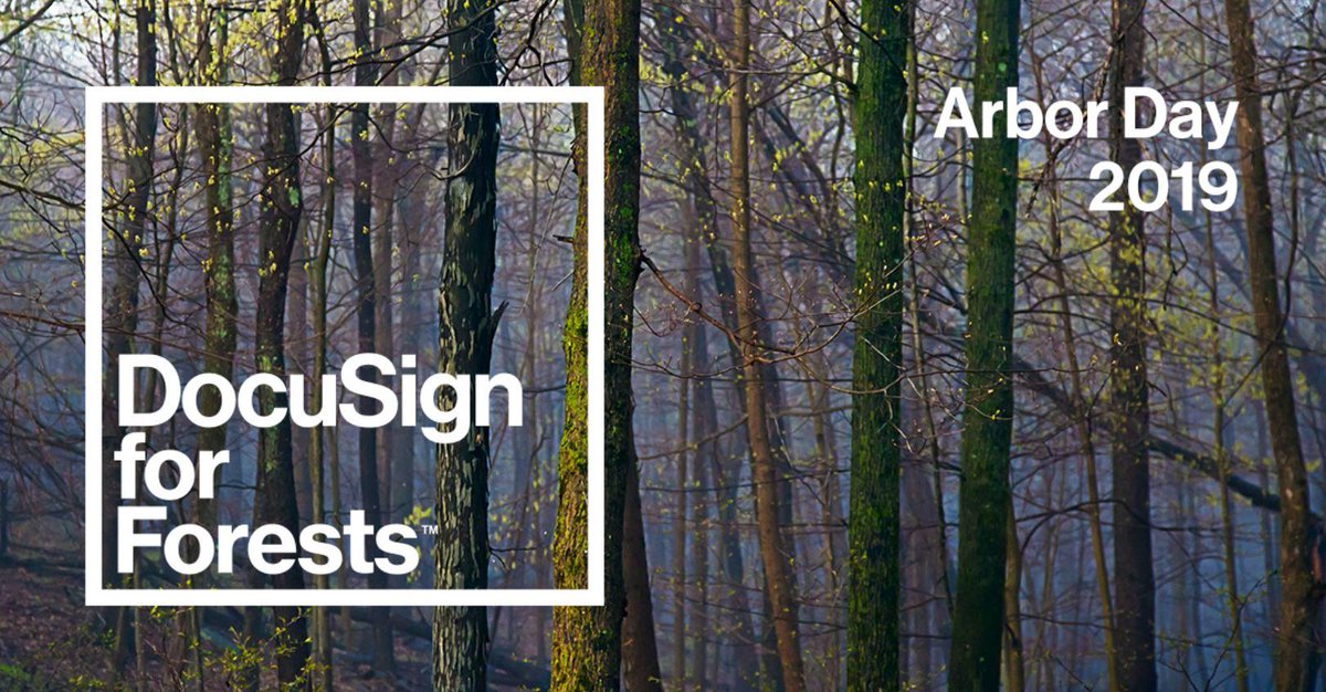 Docusign's tweet image. In recognition of #ArborDay, @DocuSignIMPACT Exec. Director, Amy Skeeters-Behrens, sat down with the Environmental Paper Network (@WhatsNYourPapr) to discuss the importance of reducing paper usage. Read her entire conversation here: bit.ly/2VtU6fp #ArborDay2019