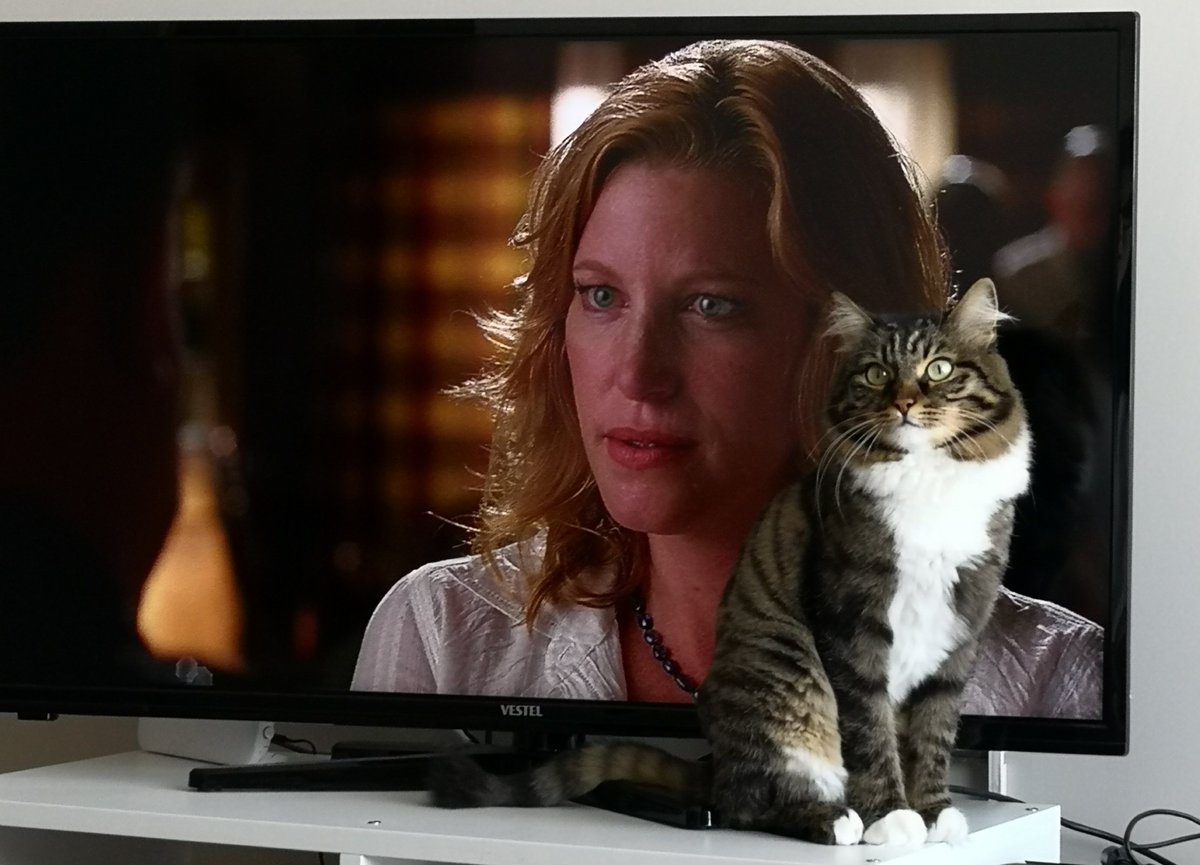 Ufak tefek benzerlikler