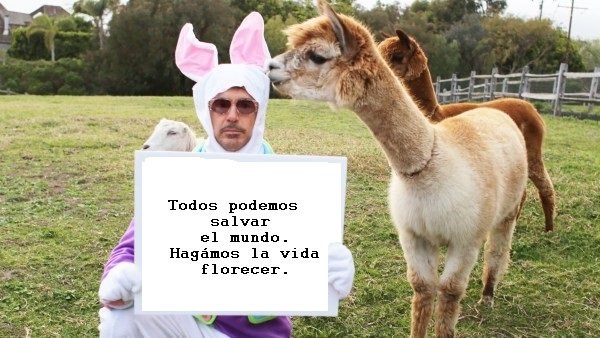 ¿Ya viste #AvengersEndgame ?

Tú también puedes salvar a la #tierra si cuidas el medio ambiente. 

Hagámos la vida florecer.

#AvengersEngame #Endgame #Thanos #AvengersEndGamespoilers