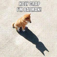 LeadersBest's tweet photo. The most powerful person in your life is You.
Always has been...
Always will be.
So why not be a superhero?

#YouCan #ThinkBig #BelieveInYourself https://t.co/LkjIqubbjq