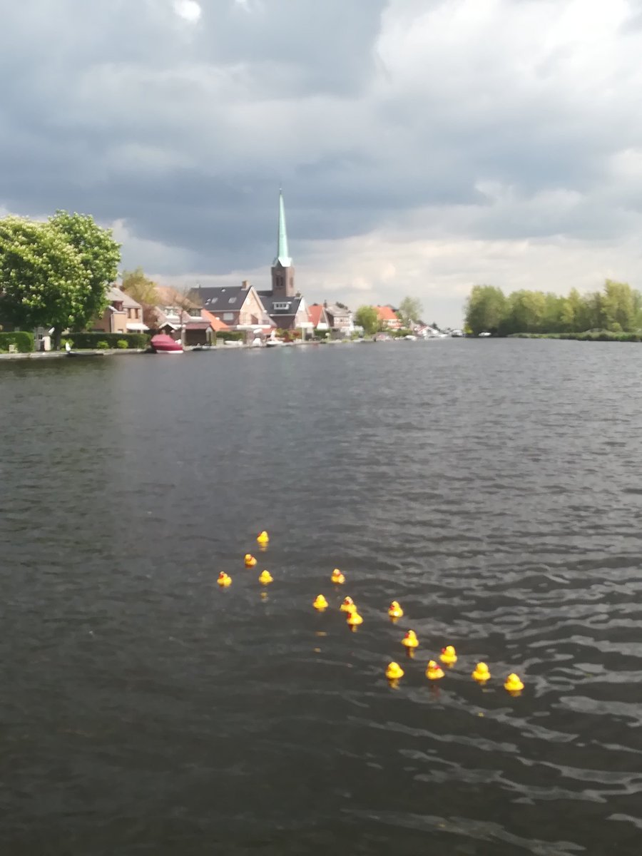 Koningsdag Hoogmade tweet media