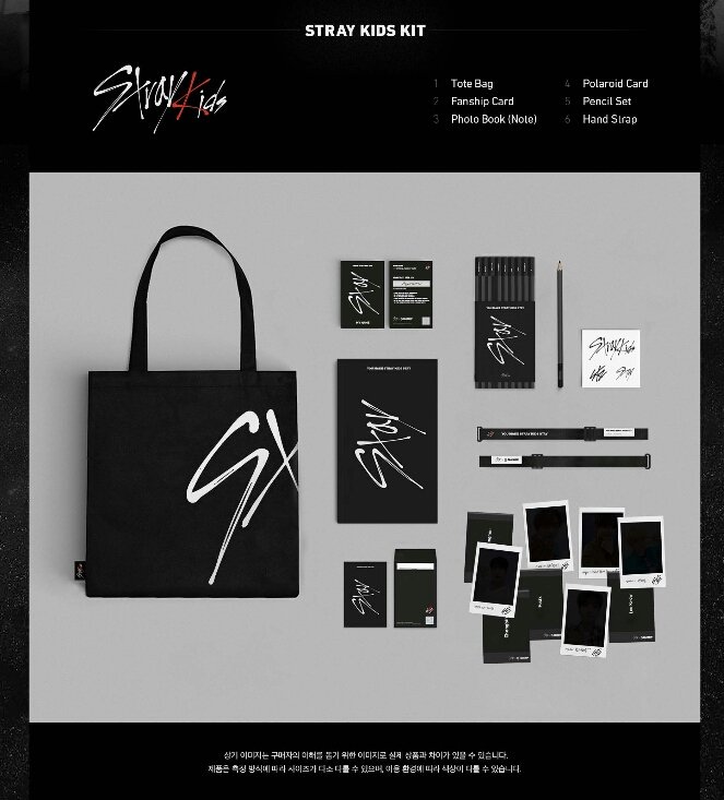 Stray Kids 1ST OFFICIAL FANSHIP KIT 限定 Stray Kids 1st Official Fanship Kit Korean Fanclub FC | eBay