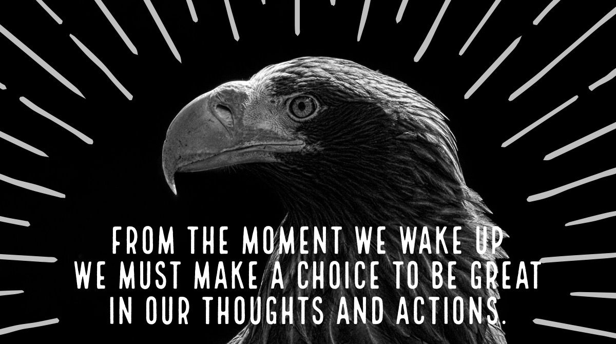 Buster_Faulkner's tweet photo. The past is written, the future is unknown, but today you have an opportunity. Make the choice to be great. #SMTTT #SIPSQUAD20 #FridayFlight #Choices #BeGreat 🦅🔝 https://t.co/lH5xc3LMle