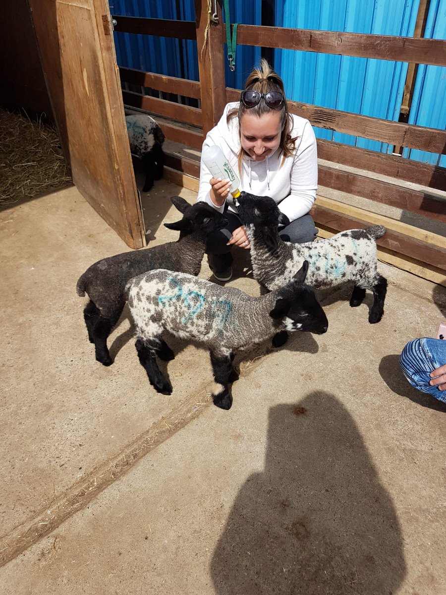 Sophie-lea Dunkley tweet media