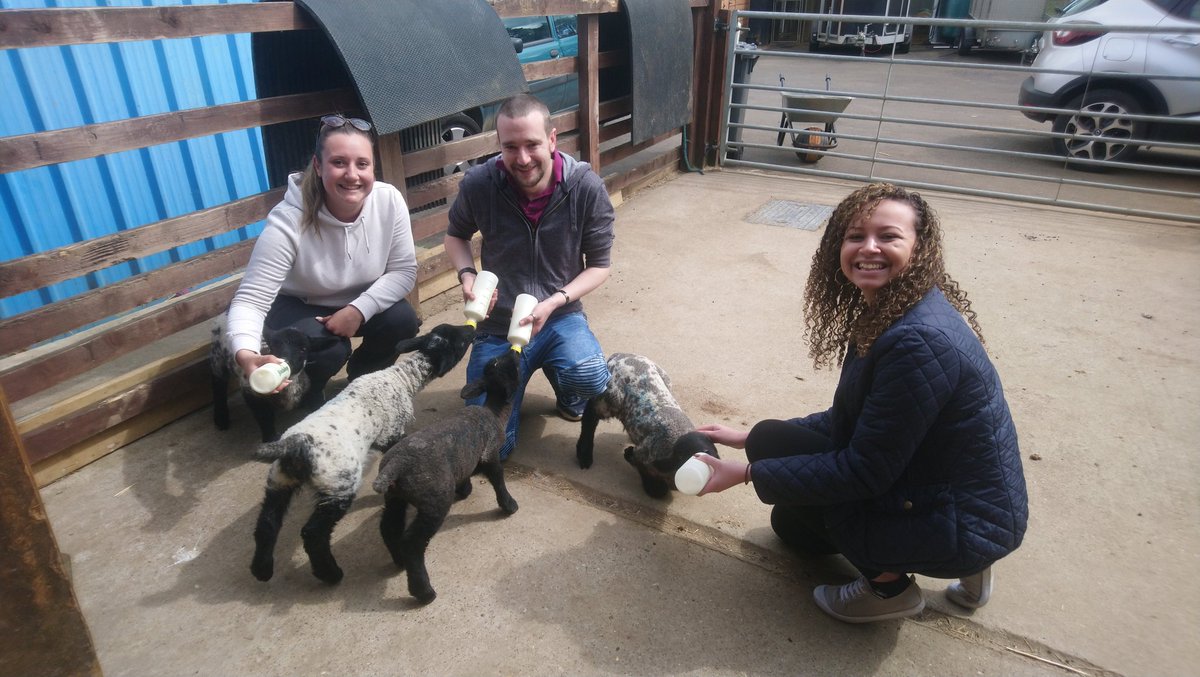 Sophie-lea Dunkley tweet media