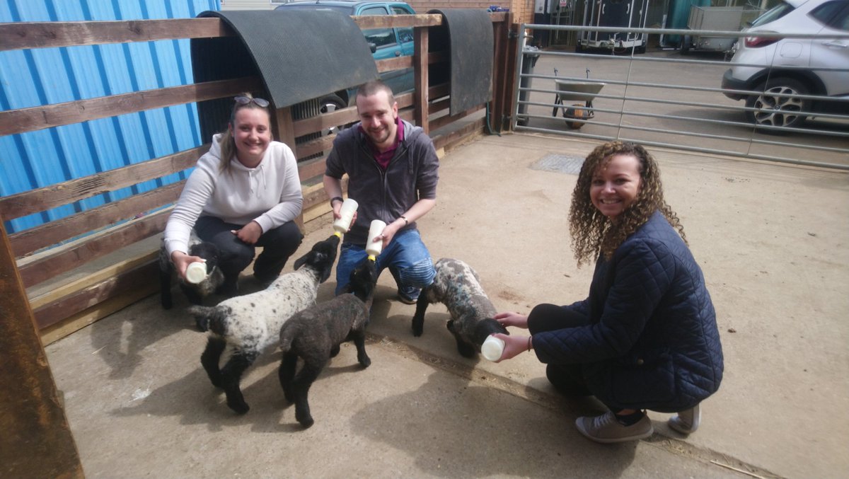 Sophie-lea Dunkley tweet media