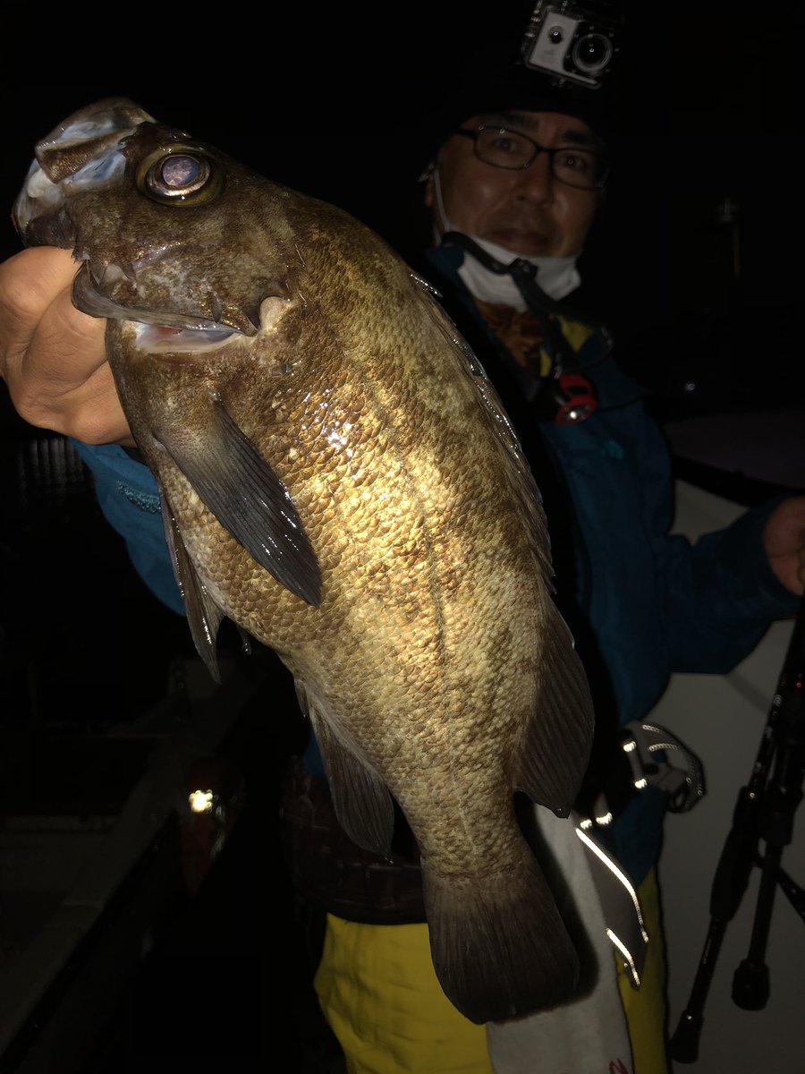 林遊船 昨日の夜メバル釣果 35cm 33cm 32cm 尺クラスは6匹 数は6 匹程度 テクニカルな状況になりましたが 各ポイントで釣れてくれました 潮や波 明暗 船のプレッシャー ポイントの時合 シーバスの活性が上がる前とか気取って考えたりして