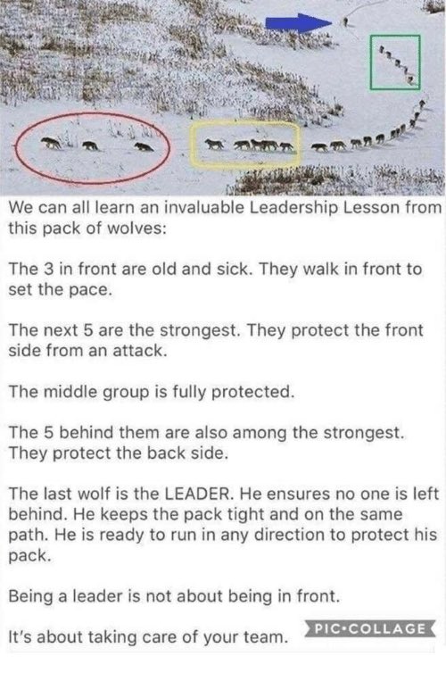 MrDataScience's tweet image. #Leadership