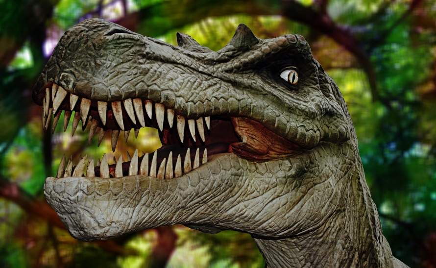 BBC “at risk of being eaten” - television licences cancelled en masse and new channel's a real DUD.  Bosses desperately defend.... informscotland.com/bbc-at-risk-of…