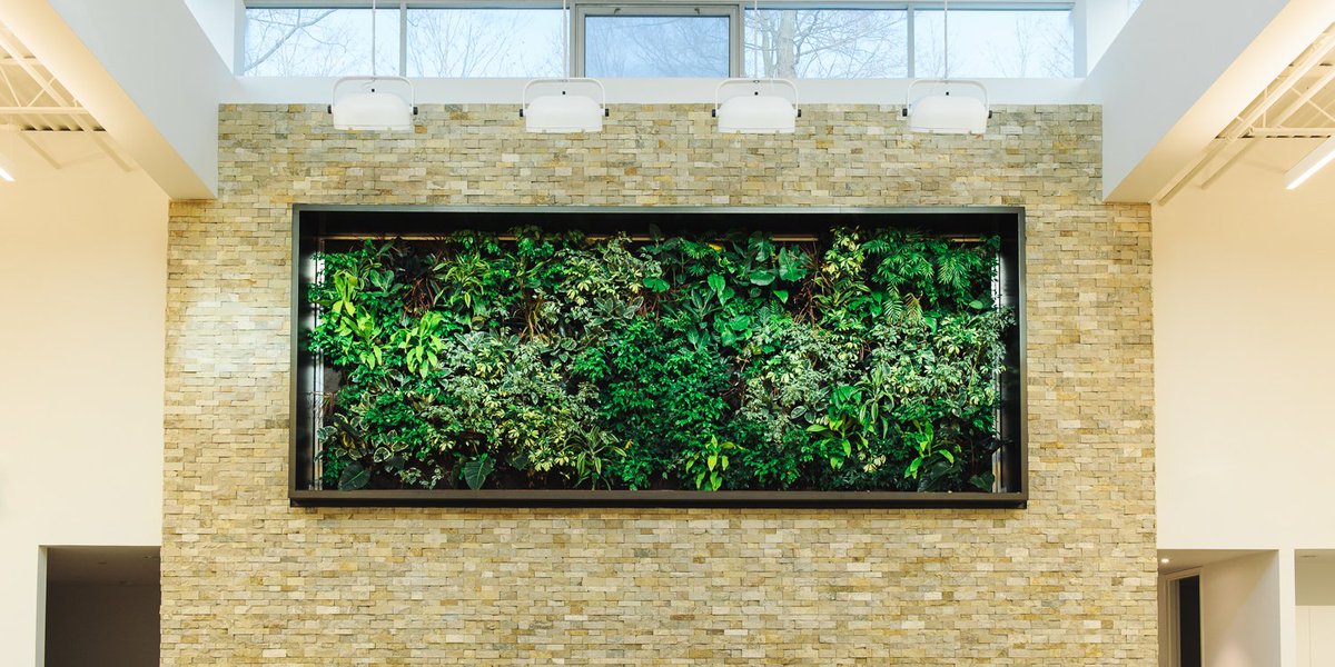 Nedlaw Living Walls tweet media