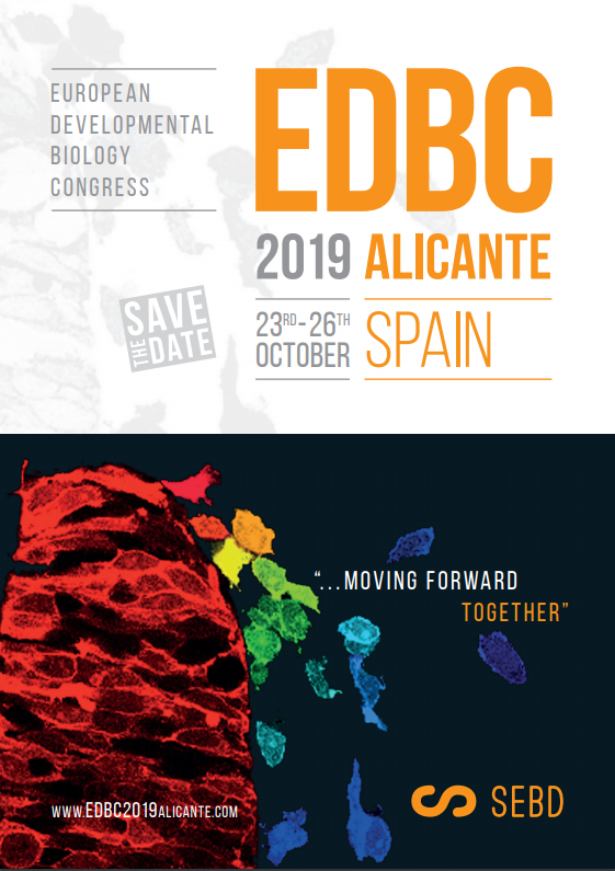 the_Node's tweet photo. The European Developmental Biology Congress will be held in October in Alicante in Autumn - a great opportunity to strengthen #eurodevbio
🇪🇺🐣🇪🇺
Abstracts: June 2
Early registration: July 31
https://t.co/kLzQ5vgY4W https://t.co/YLlAQzXFoa