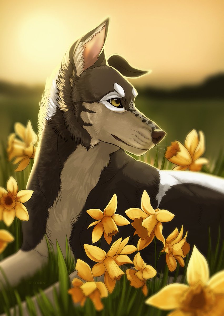 🌲 KiKO 🐕 🌲 tweet media