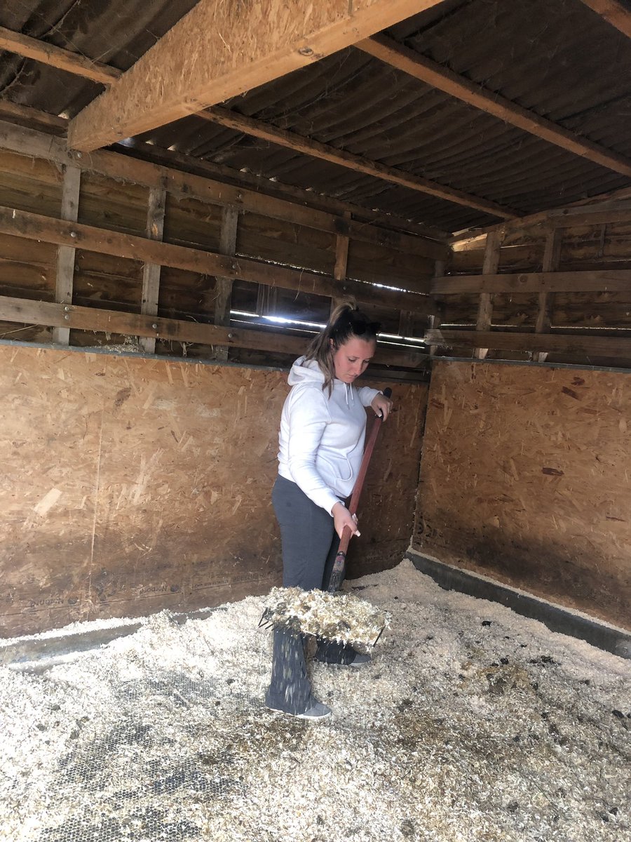 Lex Penhaligan tweet media