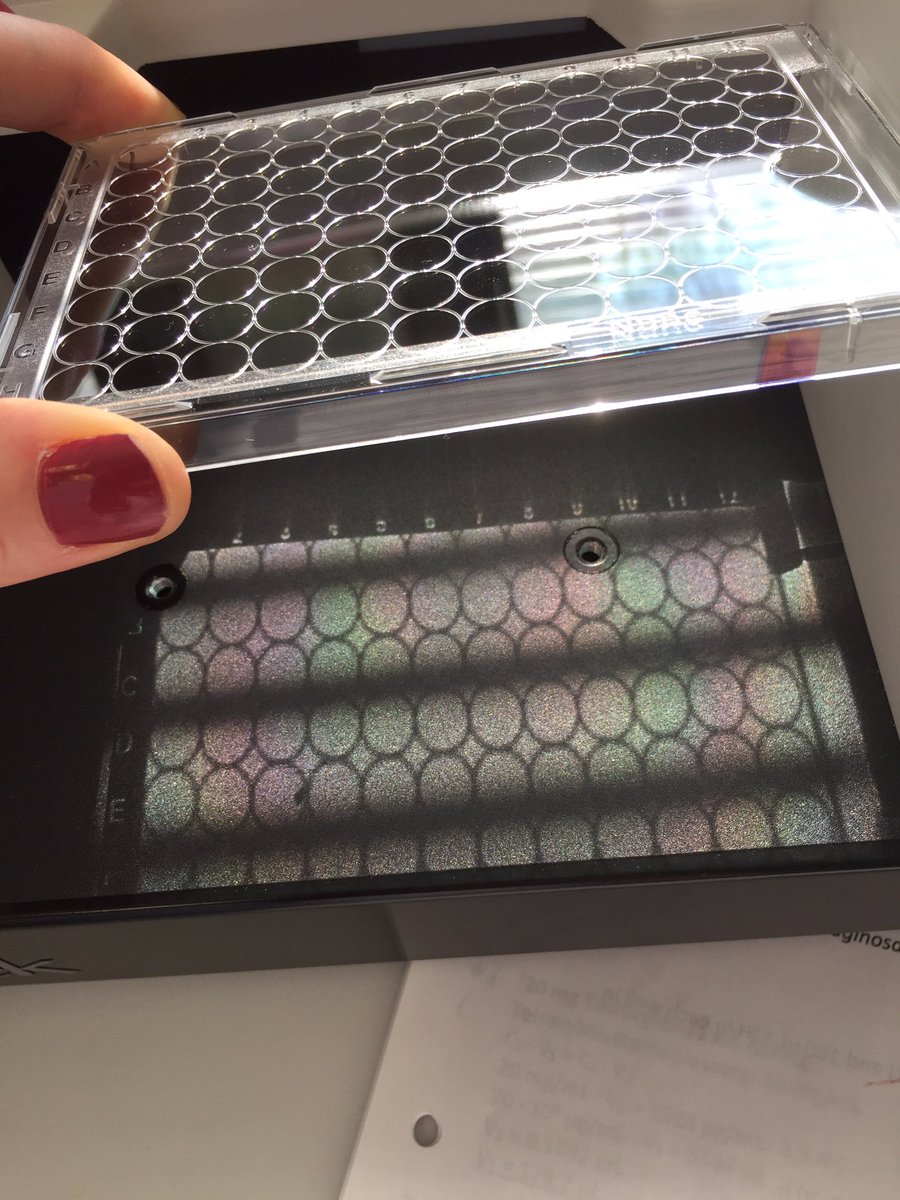 M_Kolpen tweet media