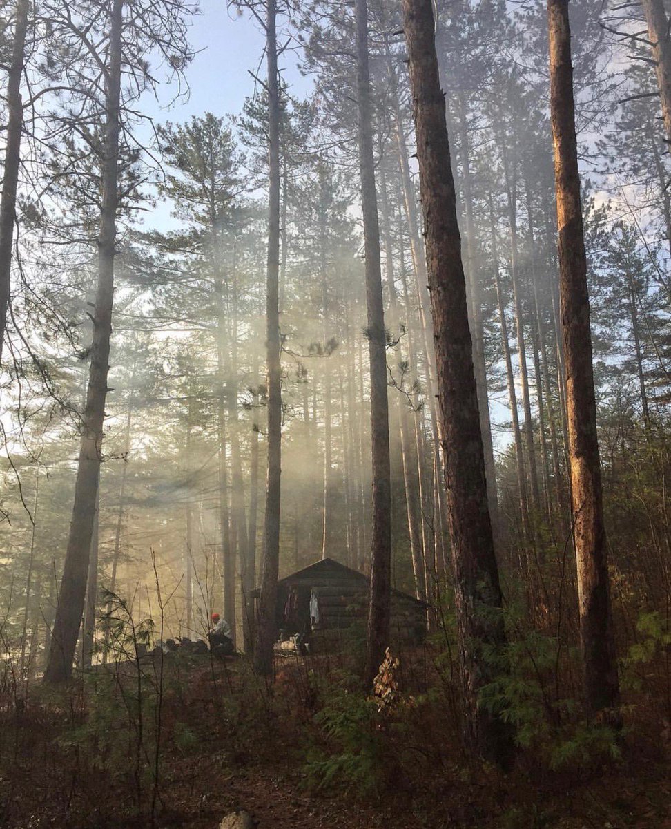 Happy #ArborDay! 

Adirondack forests absorb and store nearly 5 million metric tons of carbon dioxide a year, which is equal to the carbon footprint of more than 576,000 New York State residents.

Photo: Kristi Brennan