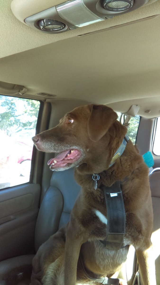 MikeWY2103's tweet photo. @GrantRandom 
I can hear you loud and clear from pinedale, Wyoming. This weekend I'm going to fuck my coworker. Then I'm going to rally race down dirt roads. Here's my dog Ollie. Now, fuck off. https://t.co/7OOTXKa1Wn