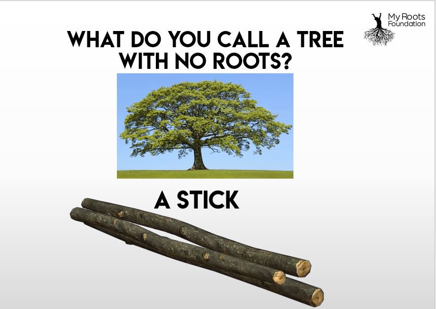 Happy Arbor Day folks!