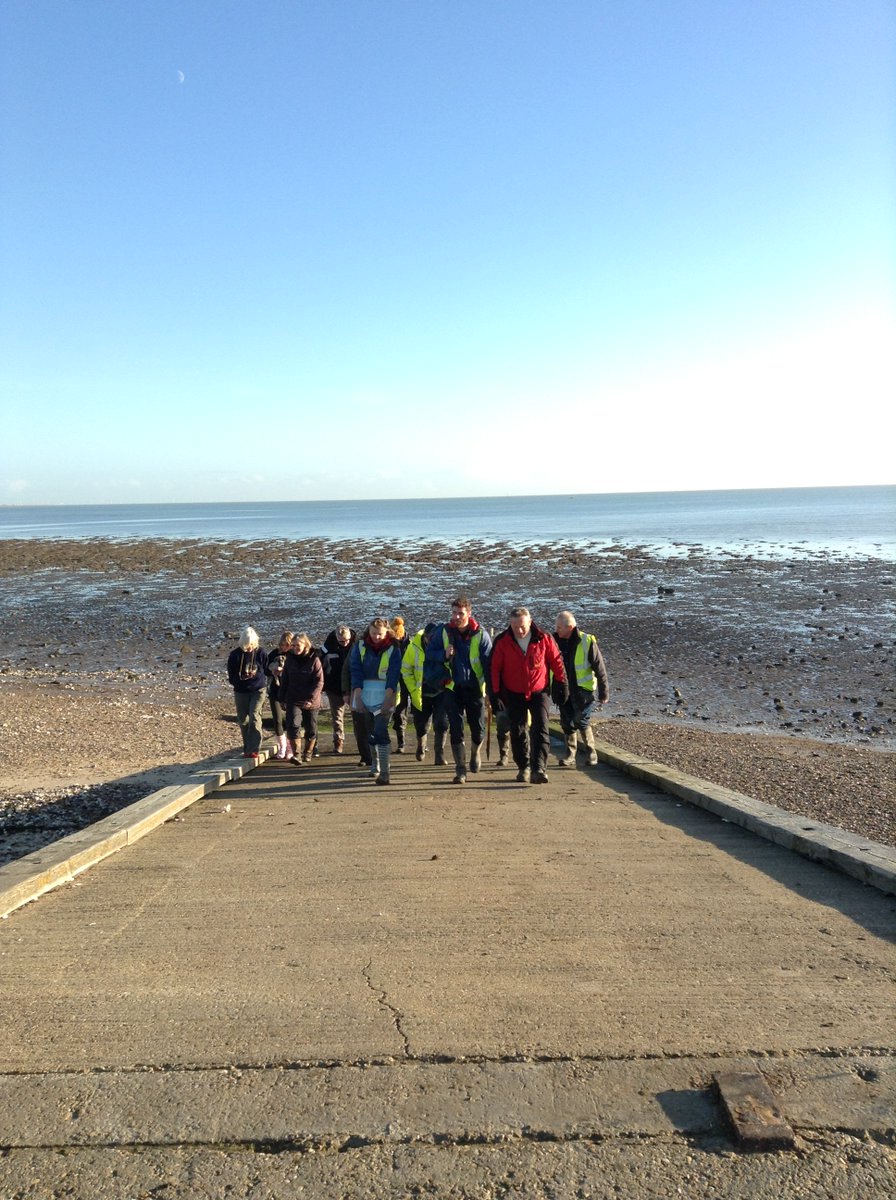 MOLArchaeology's tweet photo. It’s a unique role here at MOLA, our engagement programmes include @CITiZAN1 @ThamesDiscovery and #MAAST which provide amazing skills and development opportunities and empower citizen scientists across the country. https://t.co/SplPhVG76i
