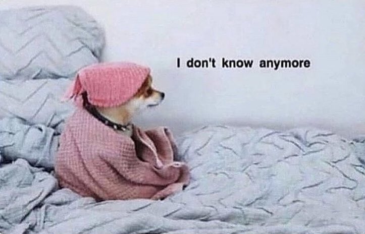 bruhsache's tweet photo. Waking up after watching #AvengersEndgame https://t.co/w2UsRhq86m