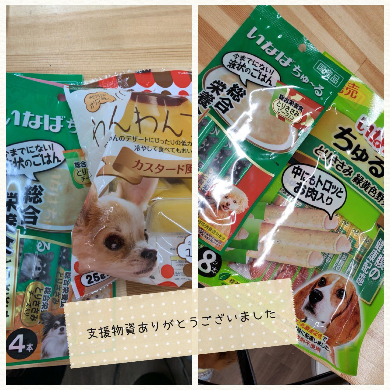 トイプードルクレア Toypoodlecrea Twitter