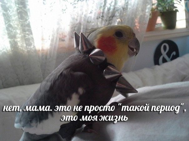 D5FS9YTXsAA1xe8?format=jpg&name=small