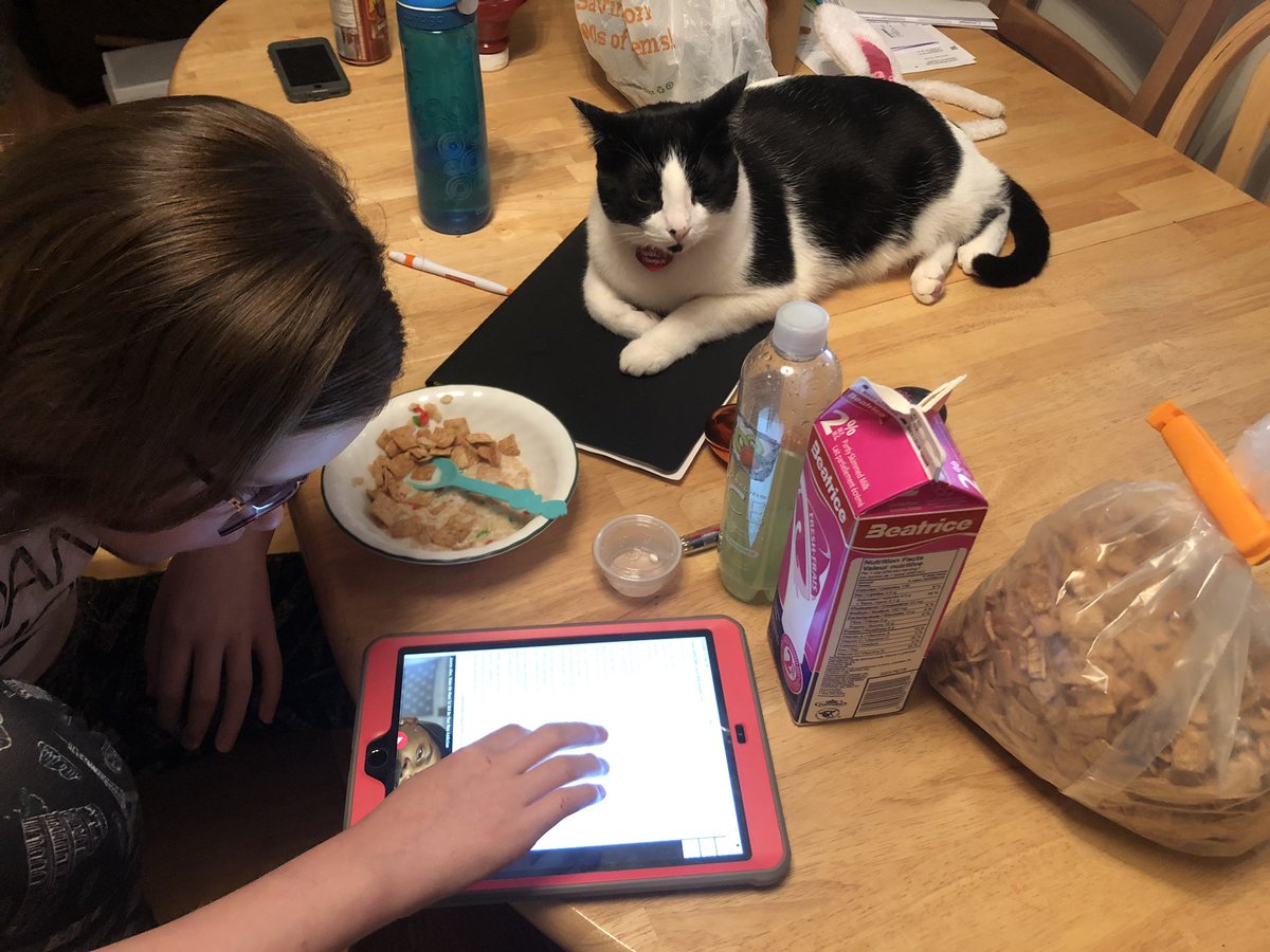 KittyKatKristin's tweet photo. 6am Priorities when you are 10 - Memorizing and breaking down all the lyrics to @taylorswift13 new single #ME ❤️ Even Sprinkles loves the new single and video 😻😻😻 https://t.co/wULI97PM78