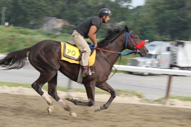 Horse Racing: Preview of the Santa Margarita Stakes and more isportsweb.com/2019/04/26/hor…