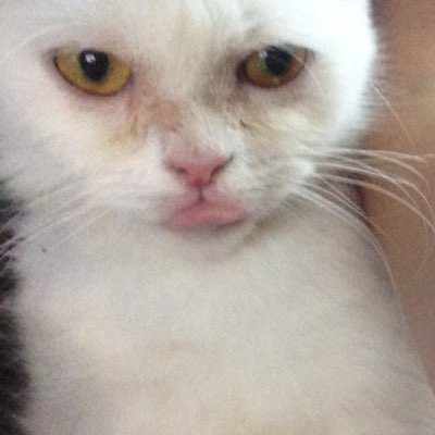 bheimine's tweet photo. #NewProfilePic https://t.co/SB5DTXmCj9