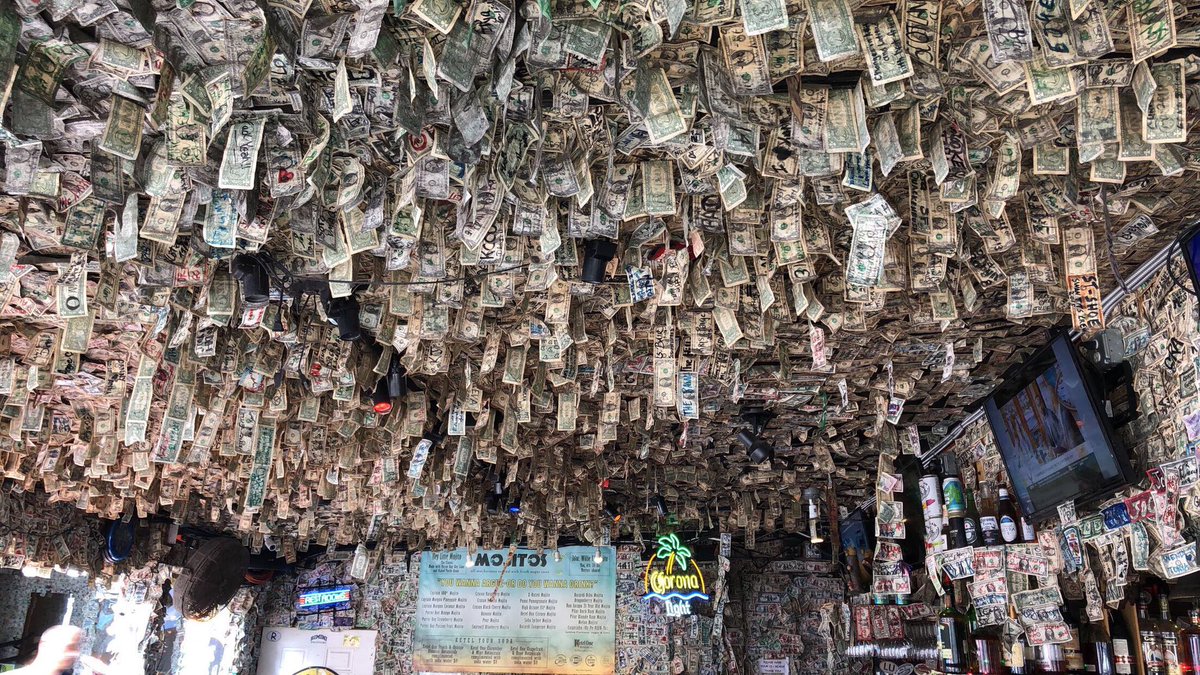 Sofia Kane tweet media