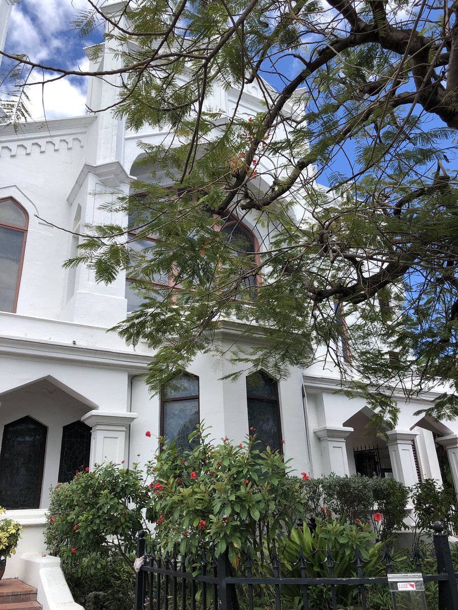 Sofia Kane tweet media