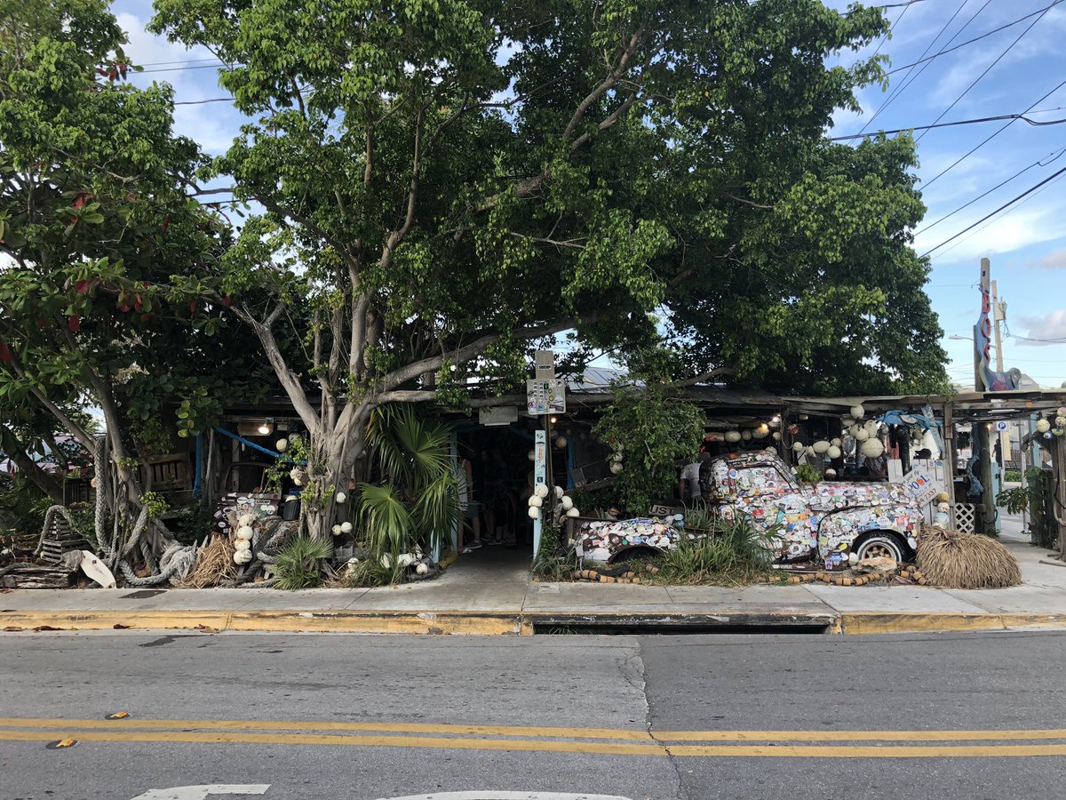 Sofia Kane tweet media