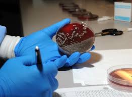 Stemcellmeet's tweet photo. Growing tissues and organs in the lab for transplantation into patients become easier after the discovery of three-dimensional networks of blood vessels https://t.co/6pvuuj4oFH  
#CellScience #StemCell #RegenerativeMedicine https://t.co/VBHcN6YjGq