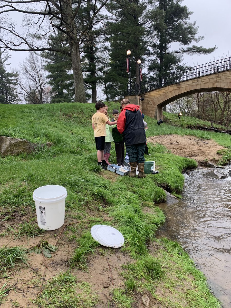 katiestew232's tweet photo. ECO Club’s trout release in Wolf Creek along with fly fishing, water testing, and discovering macroinvertebrates @GCASDELEM https://t.co/OWBv9RRLOX