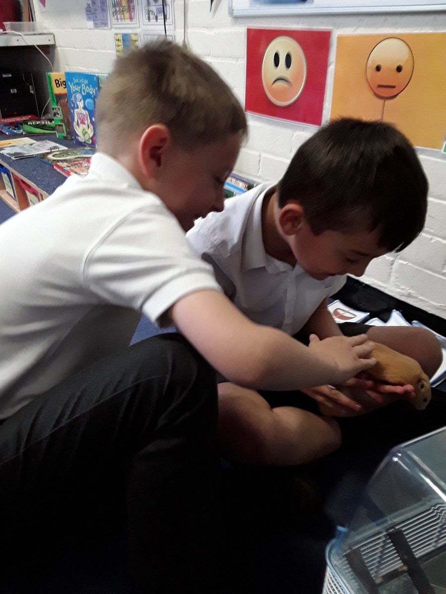 Year2TheHill's tweet photo. 2S have been enjoying having a class pet for the day. Say hello to Nibbles! We have been learning how to care for different animals for our Science topic. https://t.co/eovnbb0DwB