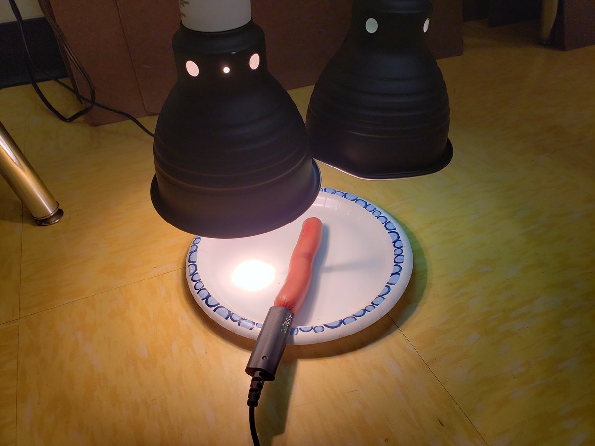 GauthierToday's tweet photo. Algor Mortis simulation lab... this poor hot doggy passed away in a tanning bed. Will it still cool at an average of 1.4°F per hour? #MedicalDetectives2 #PLTW https://t.co/X4I8p7AdXC
