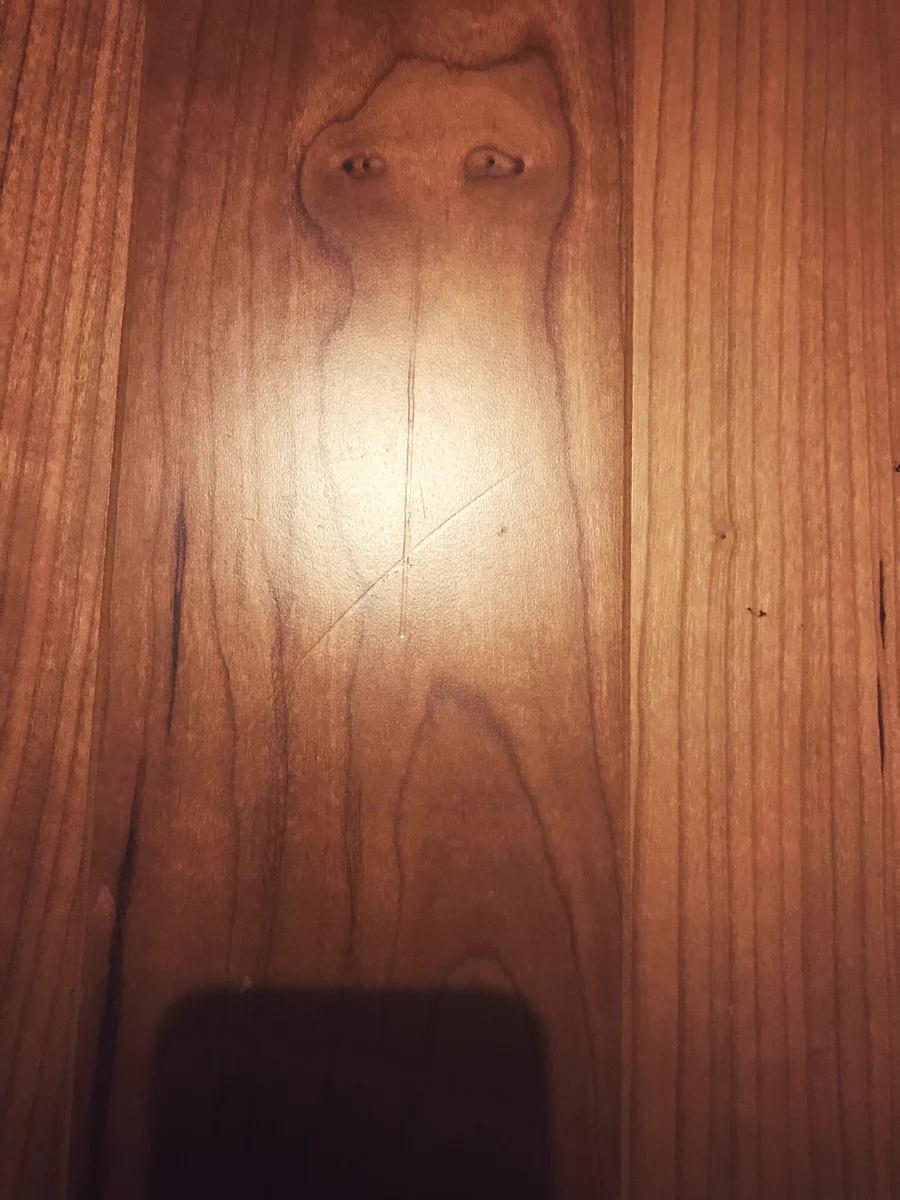 普段何気なく通っていた家の床になんとネコがいました！！