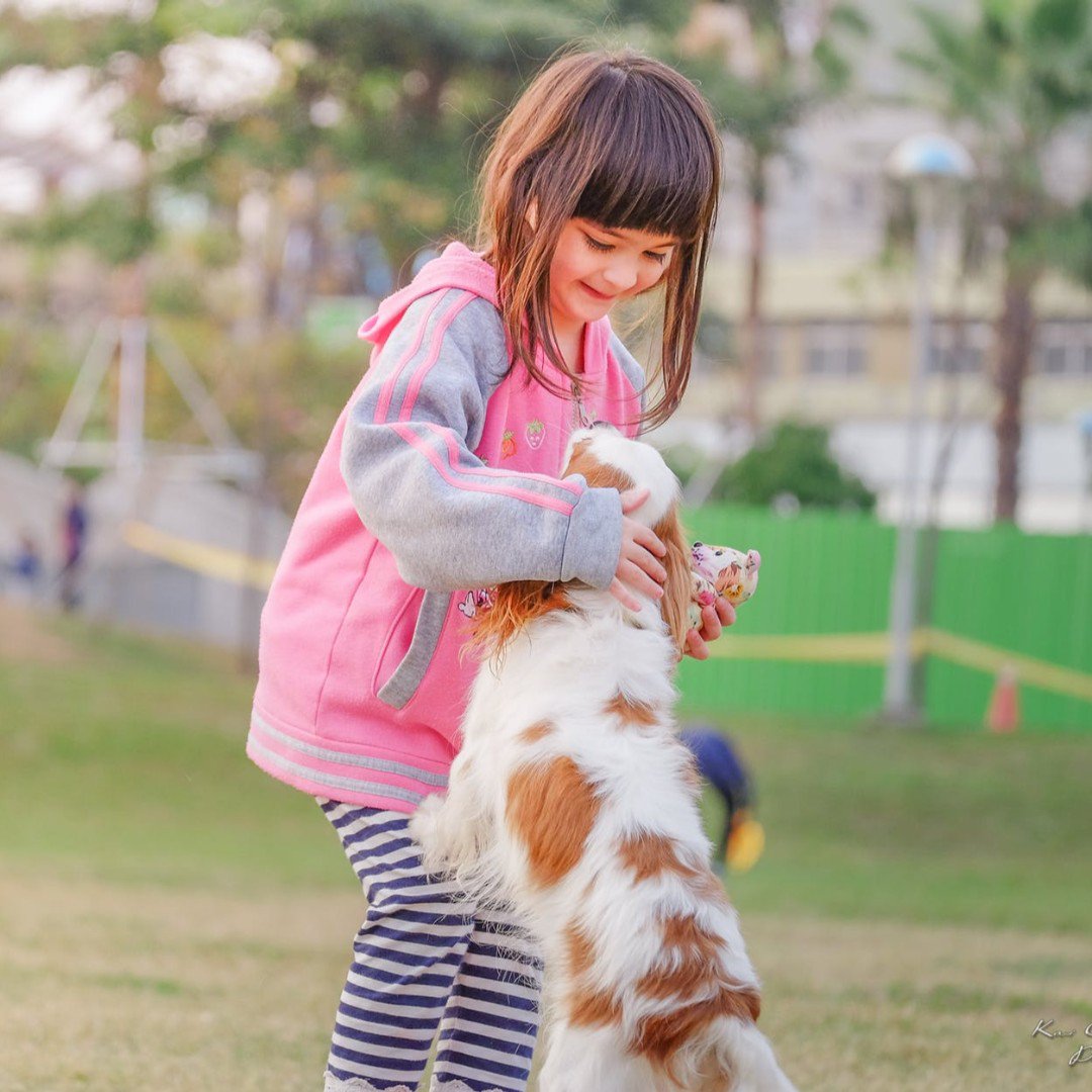 AMSHVets's tweet image. Happy National Kids and Pets Day! 

Show us your cute pictures!

#amsh #veterinarymedicine #tulsaoklahoma #brokenarrowoklahoma #aww #kidsandpets #adorable