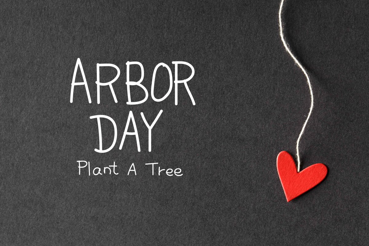 mammothinsure's tweet photo. Happy Arbor Day https://t.co/Y2lQCPdXyn https://t.co/VKaYIXPqQ4