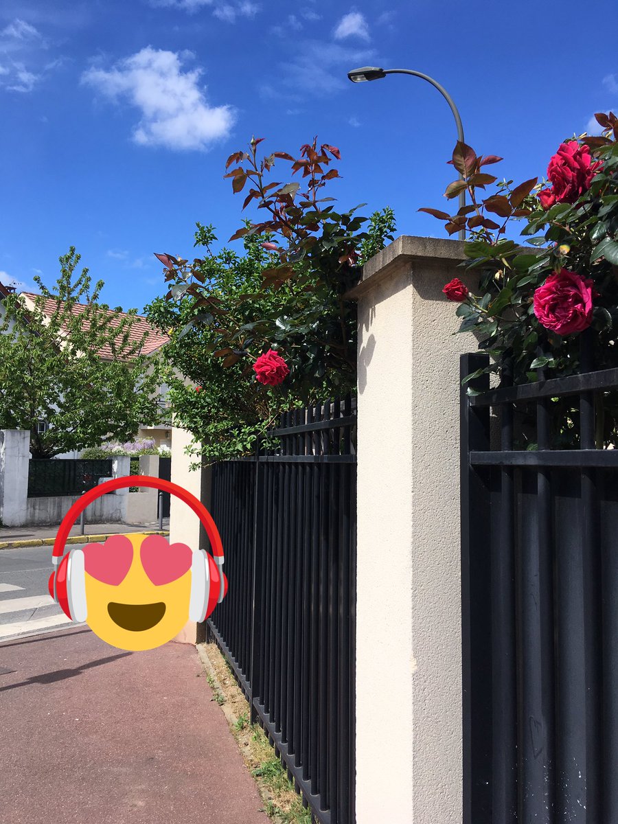 Rosina17's tweet photo. @avec_carole @Fearagaobahia @ajhoge @CaroleRousserie @Ibrahim_ali201 @KhlifiAboutaha @cawla_ is it a familiar feeling when you listen to MS outside, your lips move answering questions kinda โNooo! There wasnโt a dragon!! There was a cat!โ and people think youโre crazy?๐ #EEfam https://t.co/mCwSrzohRp