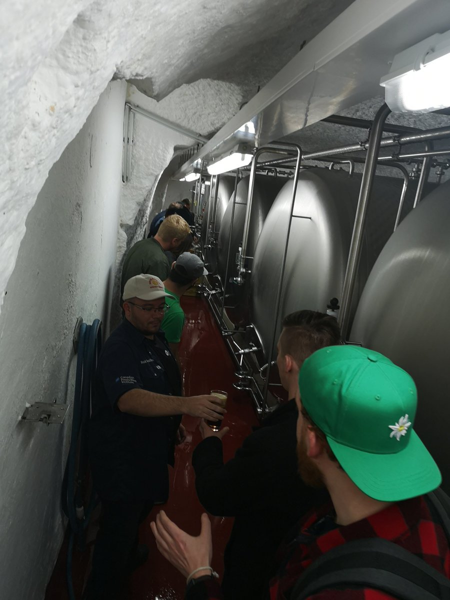 AdrianBrewProf's tweet photo. Team work NC Brewing student style. Team work makes the dream work! #myNCstory #beworldready #teamwork #beercellar #fermentation #cellarbeers #tankcity #800yearoldcellar #schlenkerla #bamberg #germany https://t.co/COAb7rYTpp