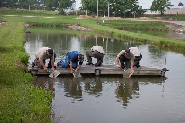 OhioDivWildlife's tweet photo. Reminder that we will be hosting open houses at three more state fish hatcheries this weekend! Open House Locations on Saturday, April 27, noon to 3 p.m.: Castalia, Kinkaid, and London State Fish Hatcheries. https://t.co/Dh0Xb8KPa2 #fishohio #fishhatcheries #fishmanagement https://t.co/2vGW6w5BU2