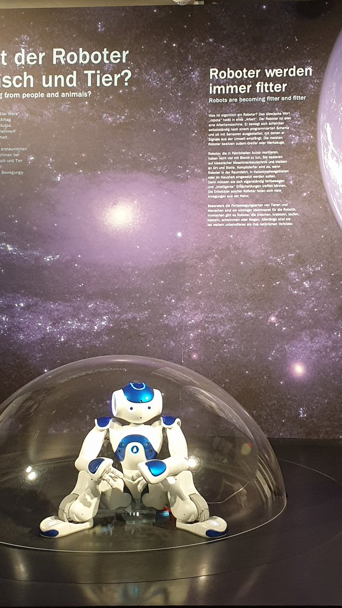 DanielaKlement's tweet photo. Ideenreich Natur und  Bionicumforschung - Sehenswert-Das Museum Bionicum im Tiergarten Nürnberg. https://t.co/S1hShHZynt
