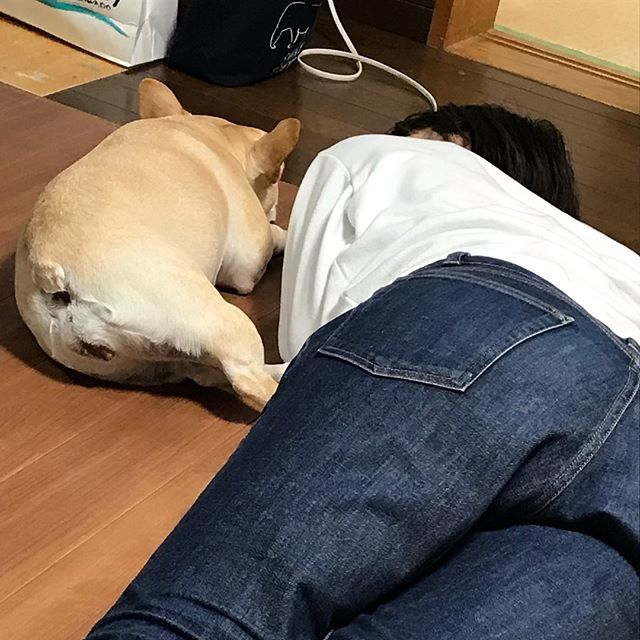 can_kuttya's tweet photo. *
次女👩🏻と三女🐷
*
母ちゃんの宝物💖
*
#娘たち
#フレンチブルドッグ#ぶひ
#frenchbulldog #buhi
#全国それいけカワイイものクラブ 
#ワンライン https://t.co/bjB2Ykk1tz