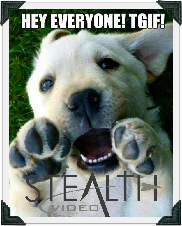 stealthvideocom's tweet photo. Happy Friday from all of us! https://t.co/rOwBxGgzGx
#StealthVideo #CCTV #WoodstockGA #CherokeeCountyGa https://t.co/BDNjtXT1Z5