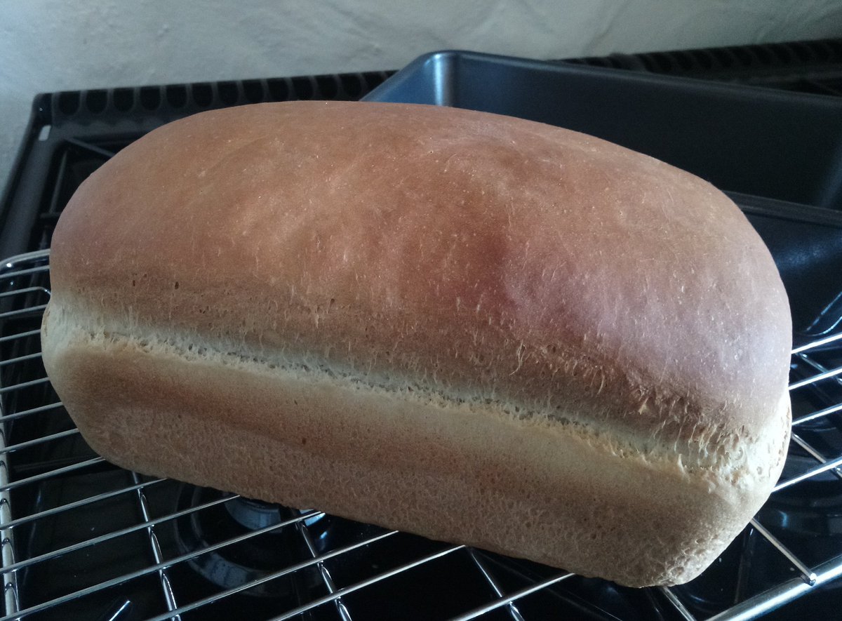 AlmostSenseless's tweet photo. Finally the bread baking aroma torture is over. I have to say I'm very impressed with the new bread tins! #lunchtimeBakery #islandLife #ContraryKitchen https://t.co/NC2jyxXOiz