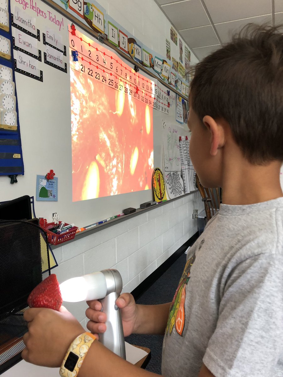 1mrsbedingfield's tweet image. Using the #Proscope to look closely at seed shapes and details! #seedlings starting! #IvyHillLeague