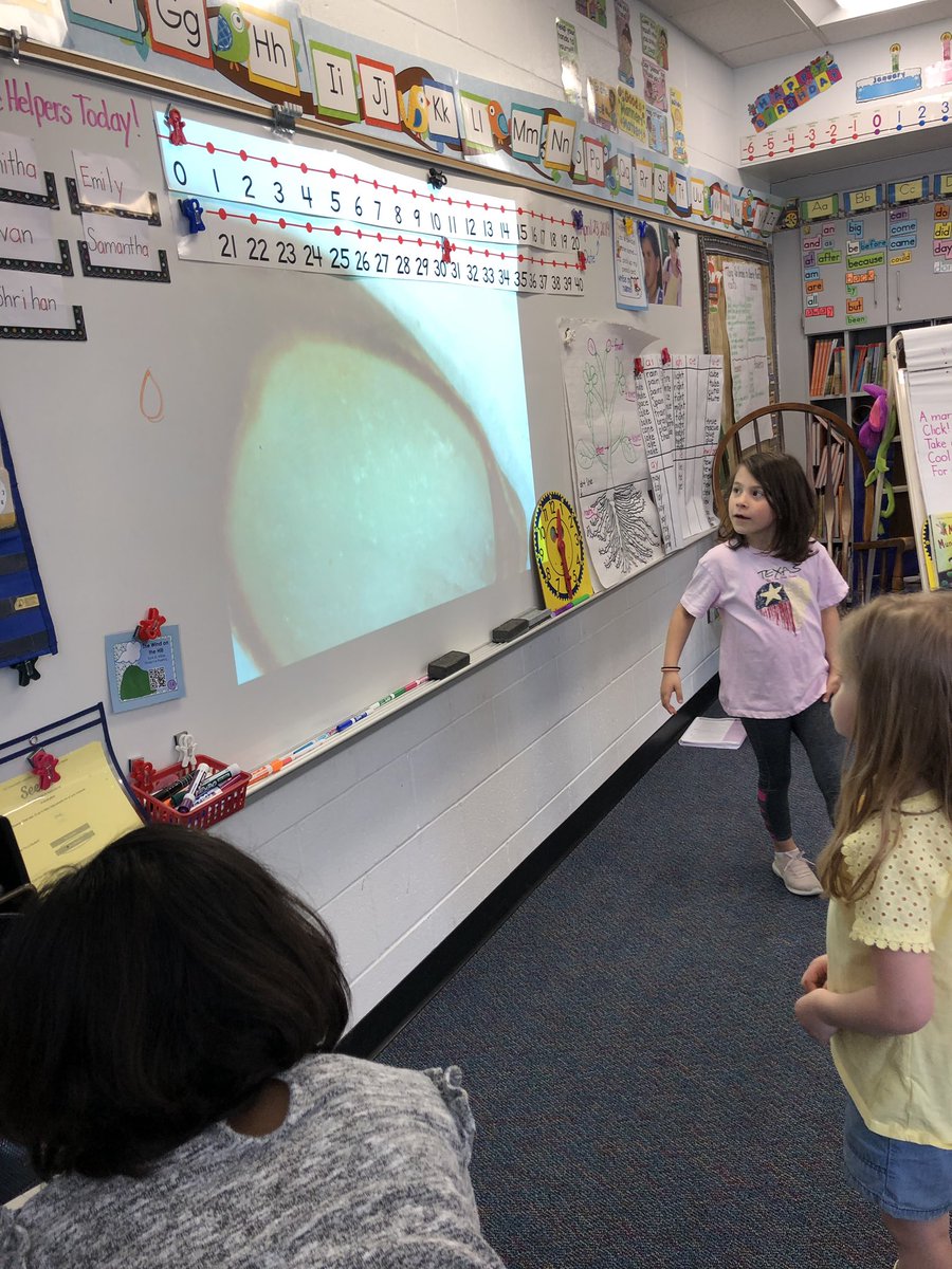 1mrsbedingfield's tweet image. Using the #Proscope to look closely at seed shapes and details! #seedlings starting! #IvyHillLeague